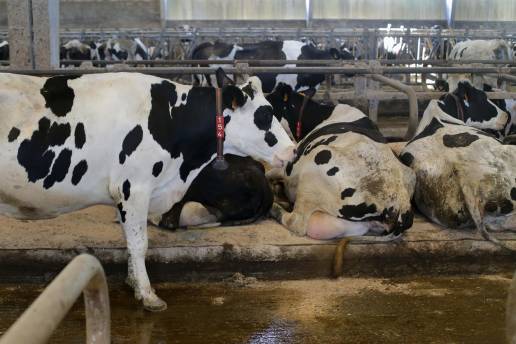La Rioja adopta nuevas medidas cautelares frente a la DNC adaptadas a situación de vacunación en comunidades limítrofes