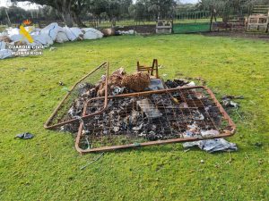 Investigado el dueño de una explotación ganadera de Salamanca por 60 ovejas muertas y otras sin alimento
