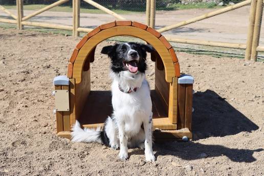 El Ayuntamiento renueva el espacio canino de El Toril con nuevo vallado y un circuito de entrenamiento