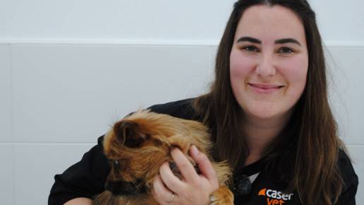 Caservet recomienda revisar requisitos administrativos y sanitarios para viajar con mascotas ante el nuevo marco europeo