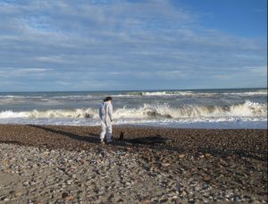 Nuevo estudio: Crustáceos en delfines listados revelan el impacto de epidemias sobre la población de esta especie