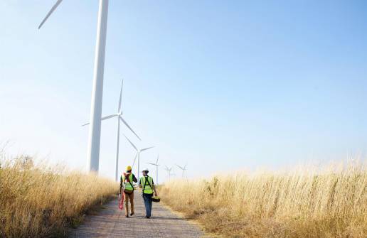 Minsait (Indra) logra reducir en un 85% la mortandad de los murciélagos en los parques eólicos