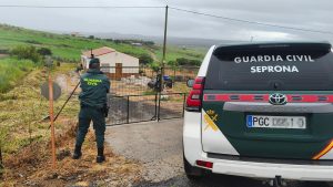 La Guardia Civil incauta 7 jilgueros y 11 tortugas protegidas encontradas en una nave de Paracuellos