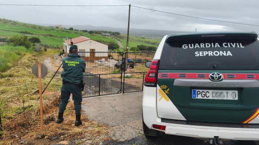 La Guardia Civil incauta 7 jilgueros y 11 tortugas protegidas encontradas en una nave de Paracuellos
