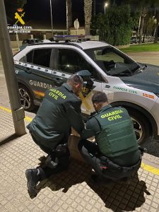 Denuncian en Carlet al dueño de cuatro gallos empleados para combates clandestinos