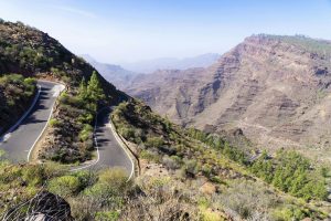 Pacma ve contrario al bienestar animal el anteproyecto de ley de biodiversidad en Canarias y pide prohibir la caza