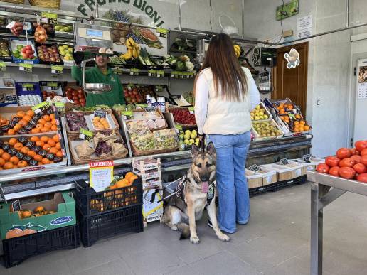 La ONCE exige que los perros guías de Baleares puedan acceder a las tiendas de alimentación