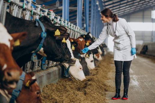 Comprendiendo la toma de decisiones sobre antibióticos para enfermedades respiratorias bovinas: una encuesta a veterinarios agrícolas del Reino Unido
