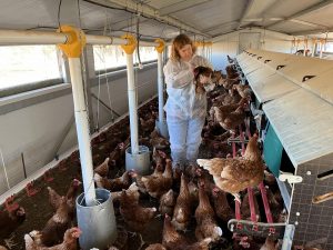 El Colegio de Veterinarios de Toledo facilita herramientas para las visitas zoosanitarias obligatorias en explotaciones ganaderas