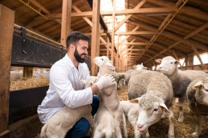 El Gobierno publica la orden de módulos con importantes reducciones en el IRPF 2025 para 800.000 agricultores y ganaderos