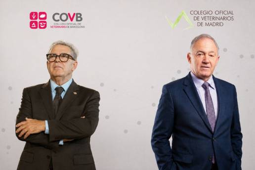 El COVB y COLVEMA realizan una aportación económica a la plataforma Boreal para apoyar la ILP sobre medicamentos veterinarios