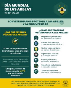 Día mundial de las abejas: 20 de mayo