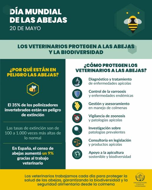 Día mundial de las abejas: 20 de mayo