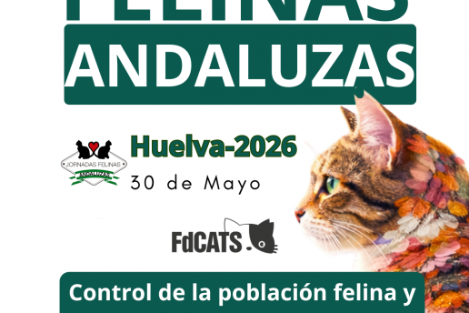 Las VIII edición será en Huelva, el 30 de mayo. Este año volvemos con más fuerza, ilusión y compromiso que nunca.