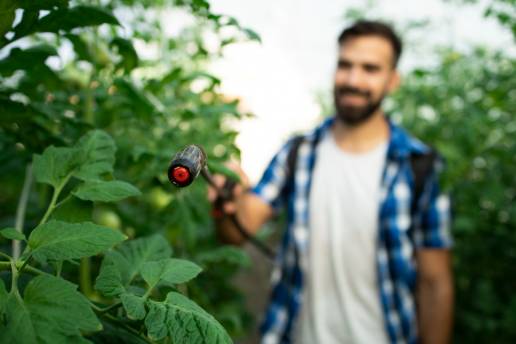 La mayoría de los fitosanitarios utilizados por los agricultores españoles son fungicidas y bactericidas, el 54 % del total