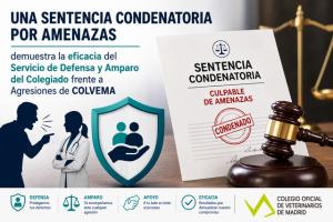 La intervención del Servicio de Defensa y Amparo al colegiado de COLVEMA culmina con una condena por amenazas