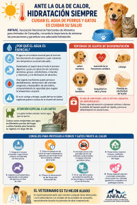 Las olas de calor ponen en riesgo el bienestar de los animales de compañía