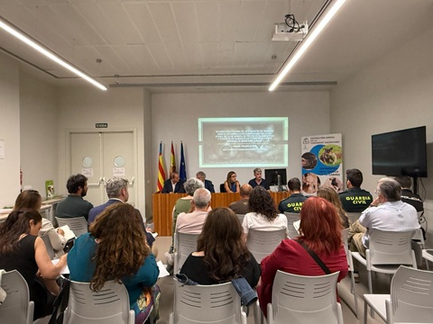 El objetivo de la comisión constituida el 16 de junio es garantizar una aplicación de la normativa efectiva, coherente y coordinada en toda la Comunitat