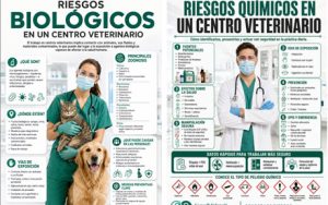 El CVCV pone el acento sobre la prevención de los riesgos químicos y biológicos en un centro veterinario
