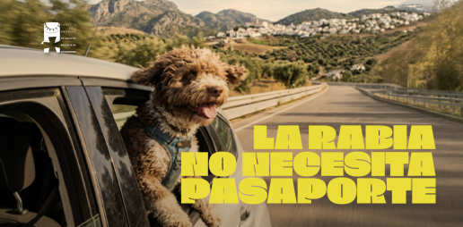 El Consejo Andaluz de Veterinarios recuerda la importancia de la vacunación antirrábica ante los desplazamientos vacacionales