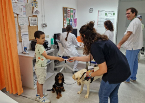 Purina impulsa junto a la Fundación S’Hort Vell un innovador proyecto con perros para reducir el estrés infantil en el Hospital de Manacor