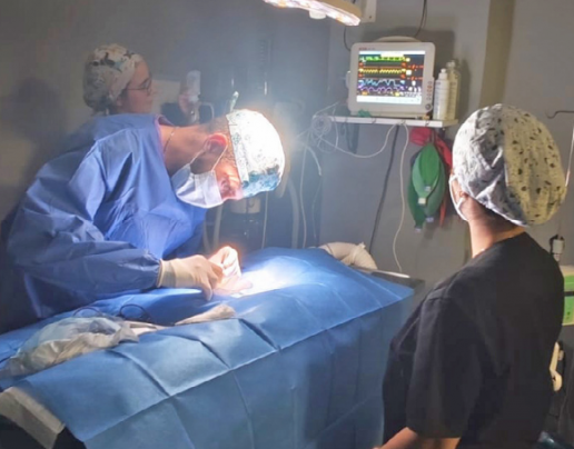Triaje telefónico y presencial en urgencias veterinarias: empatía, conocimiento y experiencia
