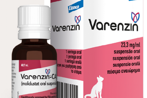 Varenzin: La revolución en el manejo de la anemia no regenerativa por ERC en gatos