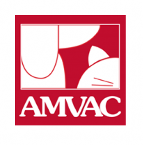 Cuarta edición Informe Sectorial de AMVAC