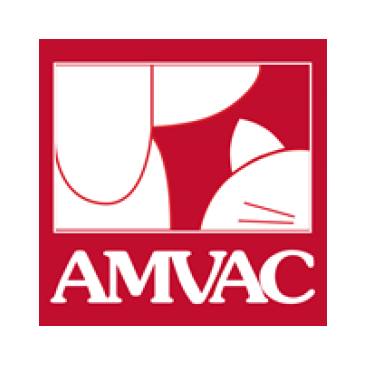 Cuarta edición Informe Sectorial de AMVAC