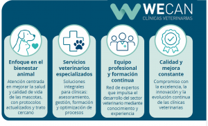 WECAN: el acompañamiento estratégico que impulsa a las clínicas veterinarias sin perder su independencia