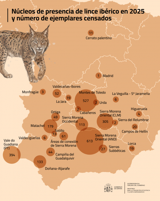 La población de lince ibérico alcanzó los 2.663 ejemplares en 2025
