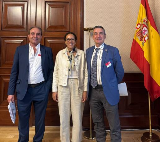 Fesvet se reúne con el Grupo Parlamentario Sumar