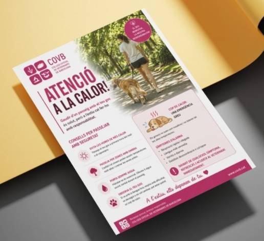 Los veterinarios de Barcelona inciden en unos consejos básicos para prevenir los golpes de calor en perros