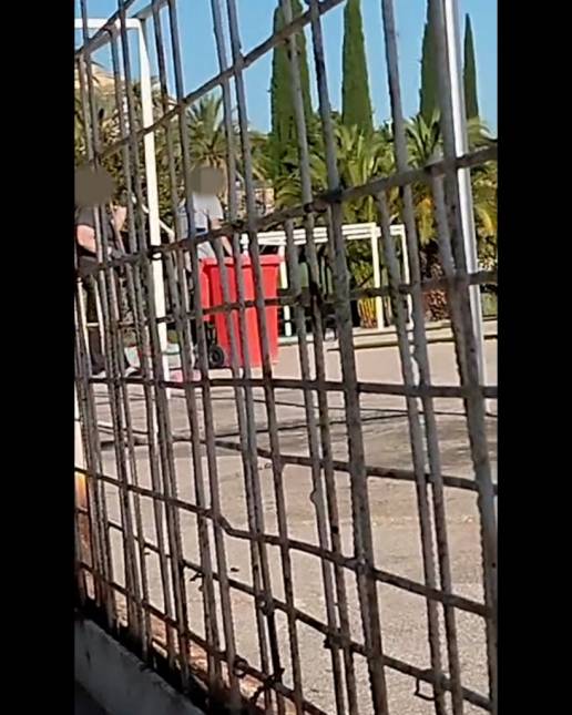 PACMA denuncia el abandono de gatos comunitarios en la piscina municipal de Las Fuentezuelas y pide respuesta al Ayuntamiento de Jaén