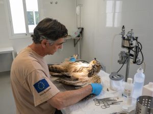 Pedro María Mojica: fauna silvestre, toxicología y vigilancia de la salud en el medio natural
