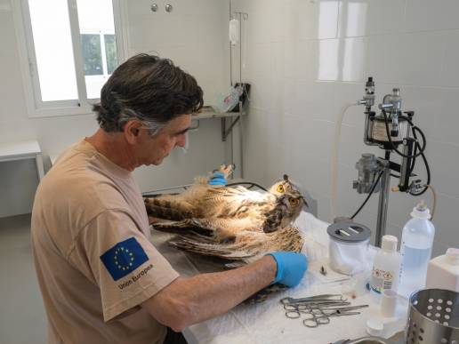 Pedro María Mojica: fauna silvestre, toxicología y vigilancia de la salud en el medio natural