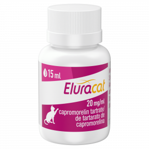 Elanco lanza Eluracat®, la primera solución oral de capromorelina para el manejo de la pérdida de peso en gatos con enfermedades crónicas