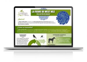 Fiebre del Nilo Occidental: la importancia de la vacunación en caballos y control de mosquitos vectores