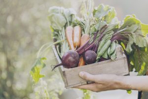 Vet+i participa en la reunión del Grupo de Trabajo de I+D+i (SCIA-AKIS) sobre innovación y transferencia de conocimiento agroalimentario