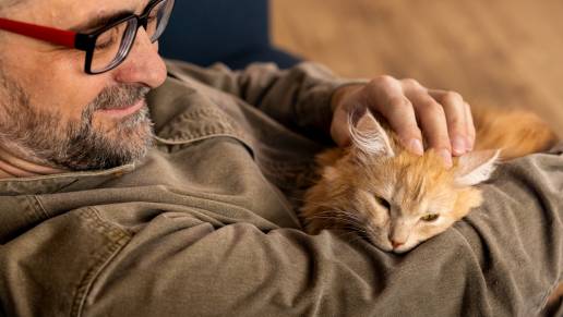 Interacción humano-animal: comprendiendo el papel de las interacciones entre perro y gato en el bienestar emocional