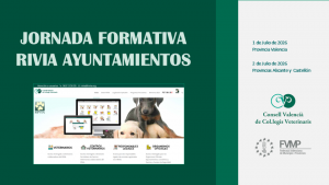 La FVMP y el CVCV impulsan la formación municipal sobre RIVIA en la Comunitat Valenciana