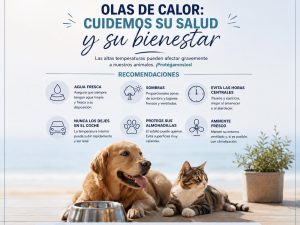 Olas de calor: cuidemos la salud y bienestar de nuestros animales. Las altas temperaturas pueden afectarles gravemente