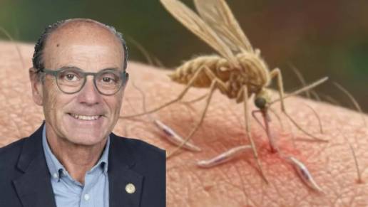 Alberto Montoya, científico que ha descubierto lehismaniosis autóctona en Canarias: 