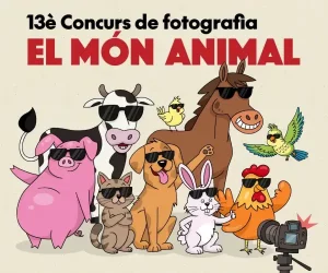 Abierta la 13ª edición del concurso de fotografía «El mundo animal»