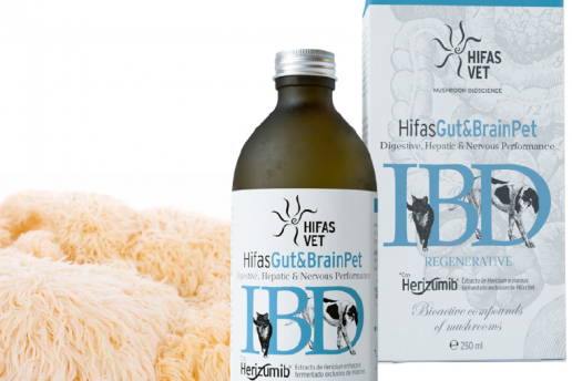 Hericium erinaceus: Avances en micoterapia veterinaria aplicada al Eje Microbiota- Intestino-Cerebro
