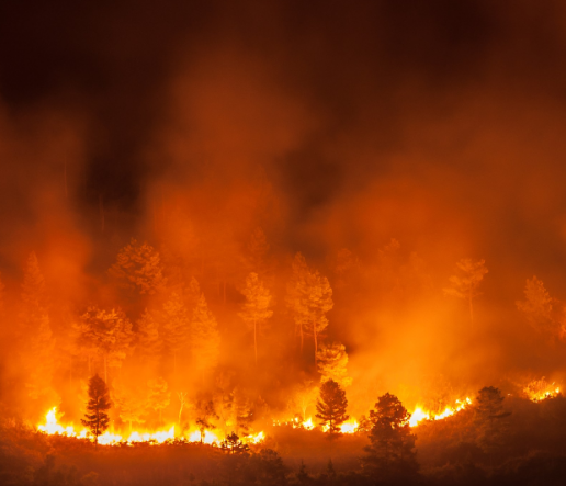 Reclamamos un gran acuerdo político y social contra la emergencia climática