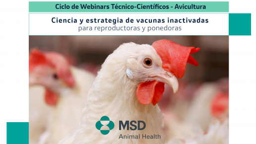 MSD Animal Health impulsa una serie de webinars técnico-científicos sobre vacunas inactivadas en Avicultura