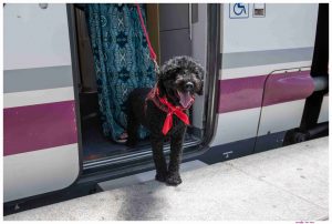 Nestlé Purina impulsa junto a Renfe una nueva era de viajes pet friendly donde los perros de hasta 40 kilos podrán viajar en todos los trenes