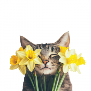 PLANTAS TÓXICAS para animales de compañía