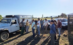 El grupo de expertos Soloextensivo refuerza el intercambio de conocimiento sobre el vacuno extensivo en su encuentro anual